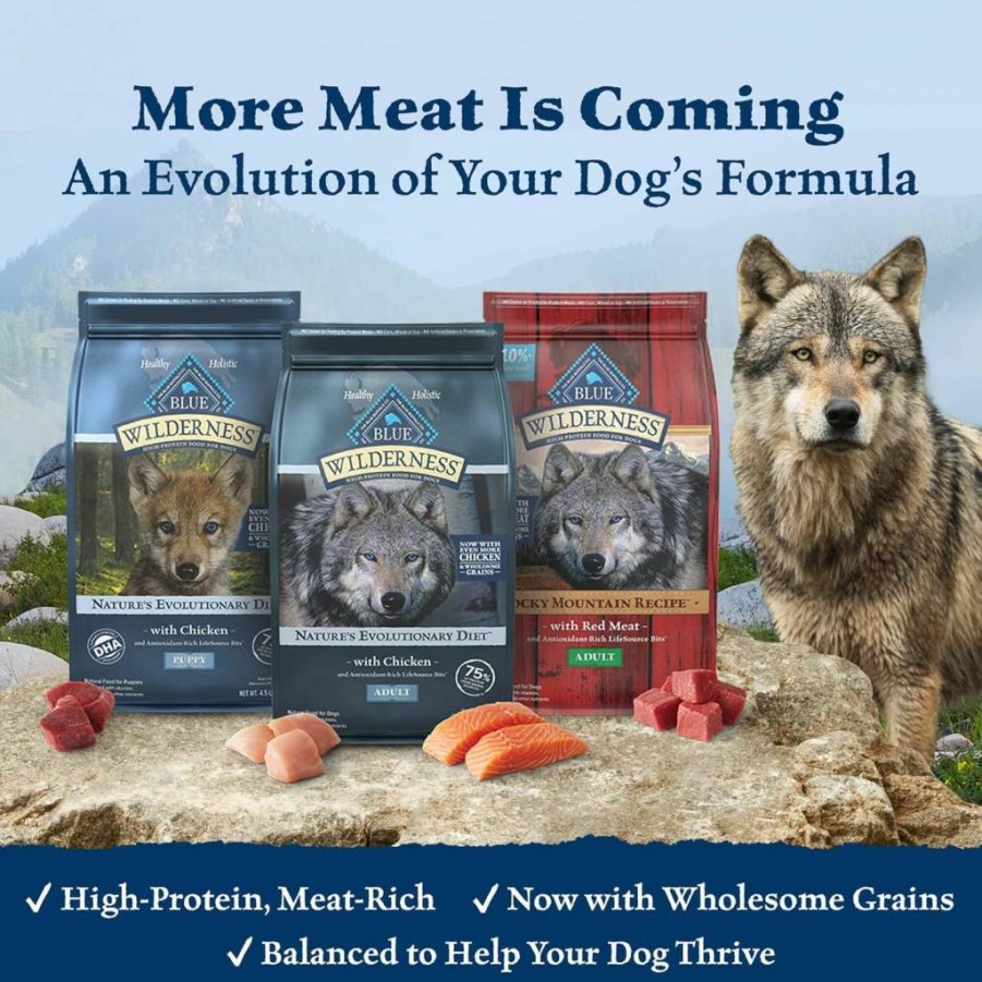 Blue Buffalo Wilderness High Protein Natural Dry Dog Food for Small Breeds, Chicken Recipe with Wholesome Grains, 4.5-Lb Bag